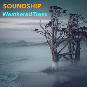 Weathered Trees by Soundship