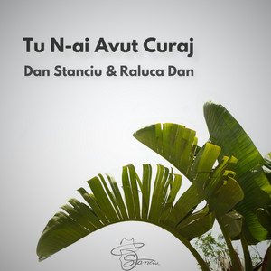 Dan Stanciu & Raluca Dan - Tu N-ai Avut Curaj (Extended)