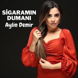 Sigaramın Dumanı - song and lyrics by Aylin Demir | Spotify
