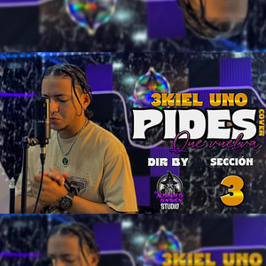 Pides Que Vuelva - Sección 3 by El Nuevo Orden 13, 3Kiel Uno