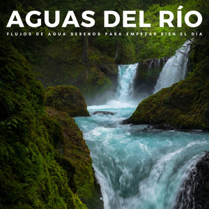 Aguas Del Río: Flujos De Agua Serenos Para Empezar Bien El Día album