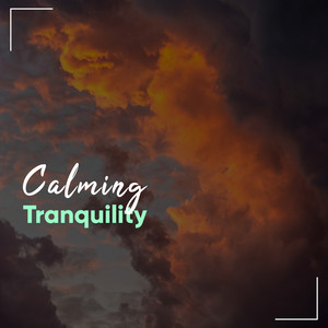 # 1 Album: Calming Tranquility album