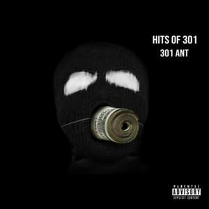 Introduction by 301 Ant, Midlayers