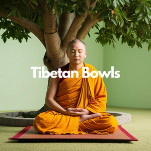 Tibetan Bowls Meditation Frequencies