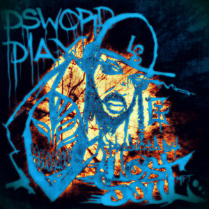 Portada de pswordplay