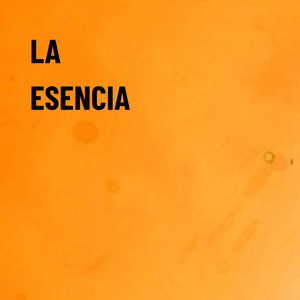 La esencia by CHARPI MC