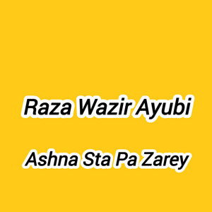 Raza Wazir Ayubi - Ashna Sta Pa Zarey
