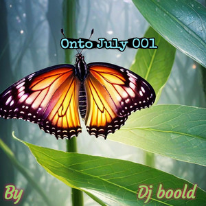 Dj boold - Onto July 001