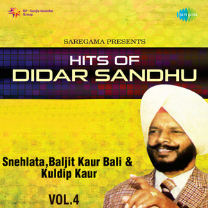 Je Ban Jaye Vicholan by Didar Sandhu, Snehlata