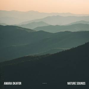 Babbling Brook - Mountain Stream by Amara Okafor
