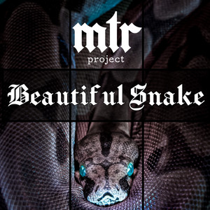 Beautiful Snake
