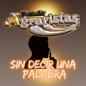 Sin Decir una Palabra by Banda Agraristas de Tulcingo