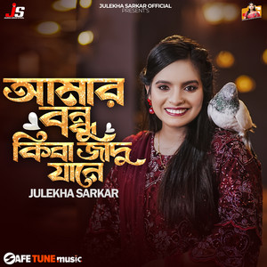 Julekha Sarkar - Amar Bondhu Kiba Jadu Jane
