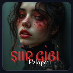ŞİİR GİBİ