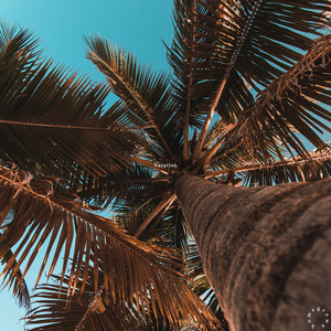 Vacation by franz.