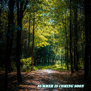 Summer Is Coming Soon by Ronald Griffin