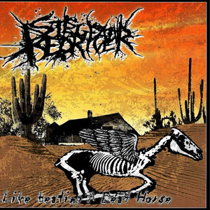 Memento Mori by Siege At Red River