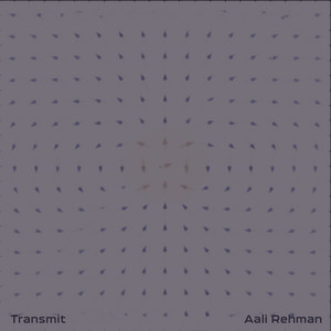 Transmit by Aali Rehman