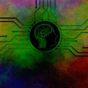 Minds of the Mindless