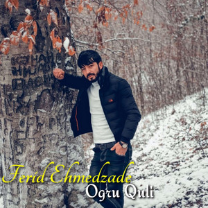 Ferid Ehmedzade - Ogru Quli