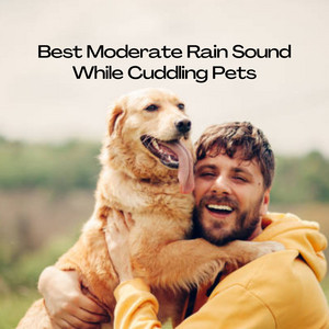 Best Moderate Rain Sound While Cuddling Pets album