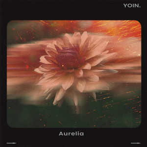 Aurelia by YOIN.