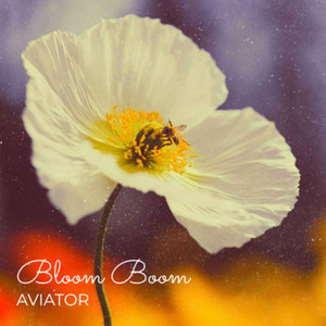 Bloom Boom (Radio edit) by AVIATOR