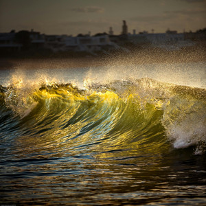 Golden Tide by Tau