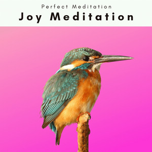 1 Joy Meditation album