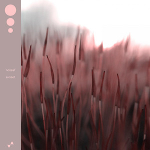 noteaf — Sunset
