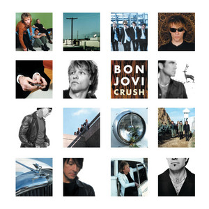 BON JOVI CRUSH 750万枚記念プレート JOVI BON 750万枚記念プレート CRUSH