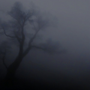 Pulsar - Lost in the Mist