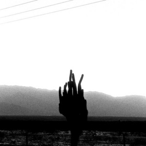 El Lobo // 39°44'55.2S 71°18'01.3O by Valentinez