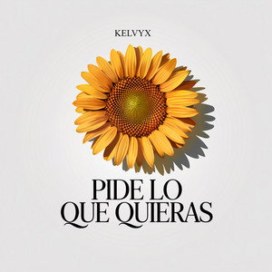 pide lo que quieras by KELVYX