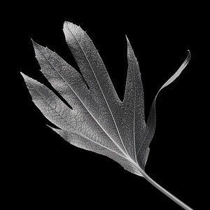 Jimmy rmx - GO... Go...Instrumen