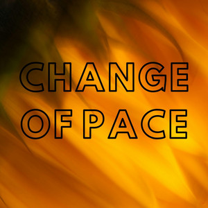 Change of Pace by Peen Fiss