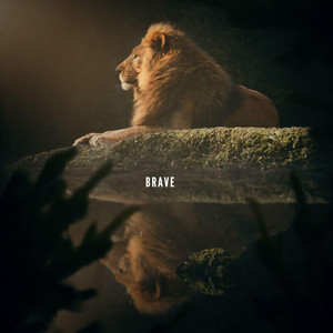 Brave