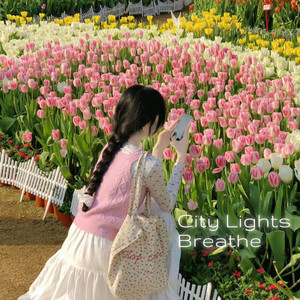 Sea South - City Lights Breathe