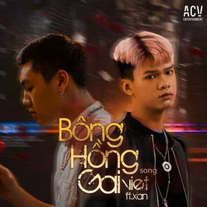 Bông Hồng Gai