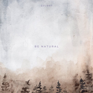 Solmet - Ashgrove