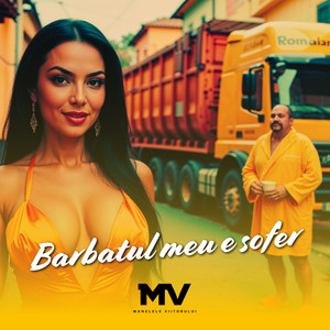 Manelele Viitorului - Barbatul meu e sofer