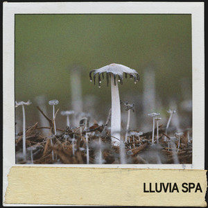 Lluvia Spa: Lluvia somnolienta y tonos suaves album