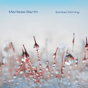 Regenfall by Marliese Barth