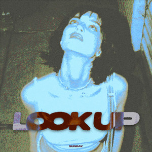 LOOK UP by no signal