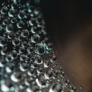 25 Calming Rain Collection for Sleep album