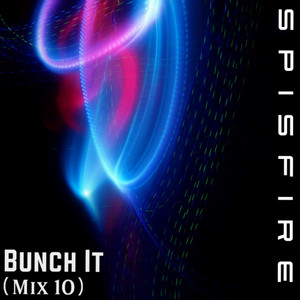 Bunch It - Radio Edit by Spisfire