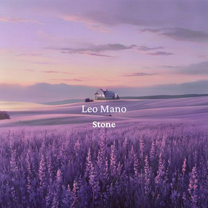 Stone by Leo Mano