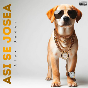 Asi se Josea by AlexUnder95