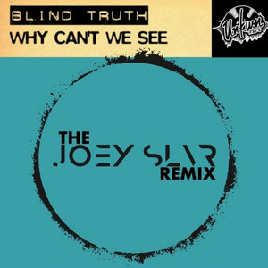 Why Can't We See (Joey SLVR Remix)