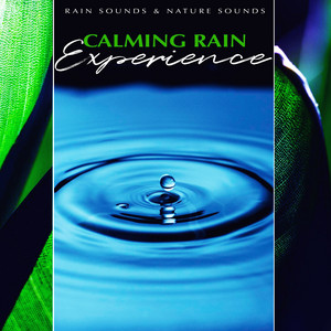 Calming Rain Experience